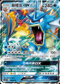 CSMPi #003 GyaradosGX RR