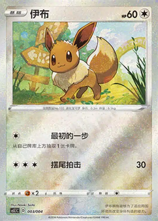 CS51 #003 Eevee ST