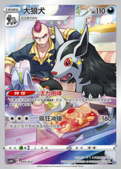 CSU #009 Mightyena AR