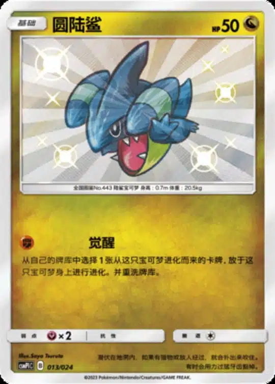 CSMPi #013 Gible S