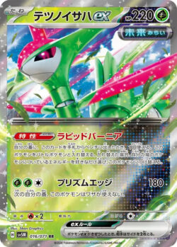 SV5M #016 Iron Leaves ex RR