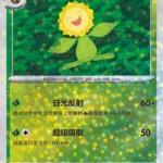 CBB5 #0603 Sunflora NR