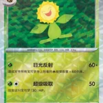 CBB5 #0604 Sunflora NR