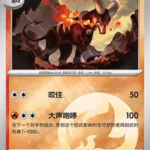 CBB5 #0801 Houndoom NR