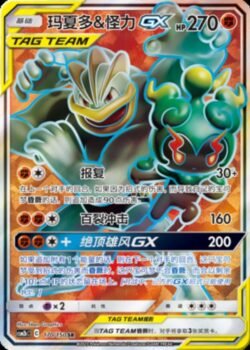 CSM2b #170 Marshadow & Machamp GX SR