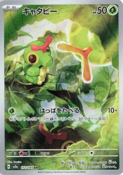 SV2a #172 Caterpie AR