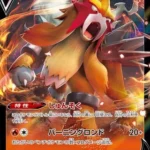 S12a #019 Entei V RR