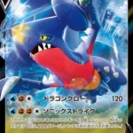 S12a #109 Garchomp V RR