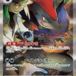 SV9 #127 N's Zoroark ex SAR