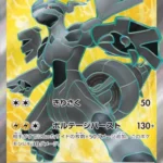 SV11B #161 Zekrom ex SR
