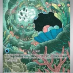 DRI #195 Clamperl IR